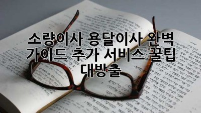 📦 소량이사, 용달이사 완벽 가이드: 추가 서비스 꿀팁 대방출! 🍯